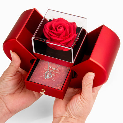 A Mother's Love Is Forever – Heart Necklace & Rose Gift Set